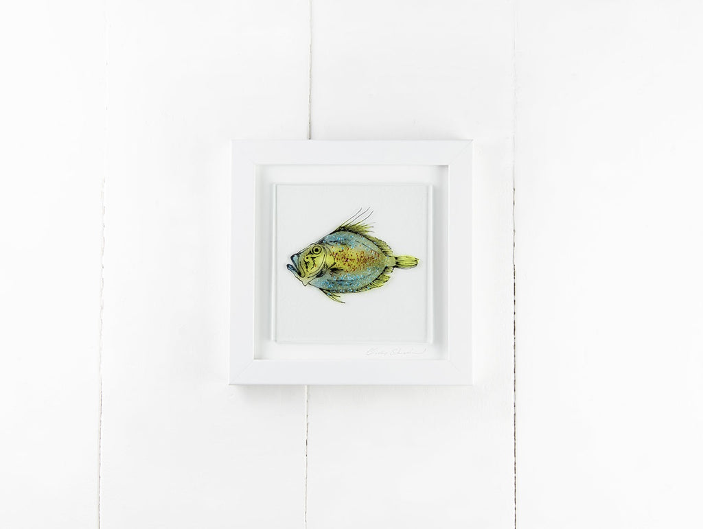 Artisan John Dory Fish Medium Art Frame Jo Downs Handmade Glass
