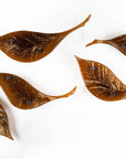 Fused glass drift of leaves as a gorgeous wall art display in autumn browns and golds.