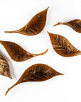 Fused glass leaf wall art installation, designed in organic brown hues with shimmering gold detail.