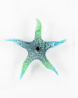 Small Sea Green Starfish