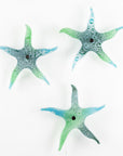 Small Sea Green Starfish