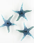 Small Marine Starfish
