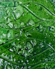 Artisan Emerald Currents Small Wall Panel
