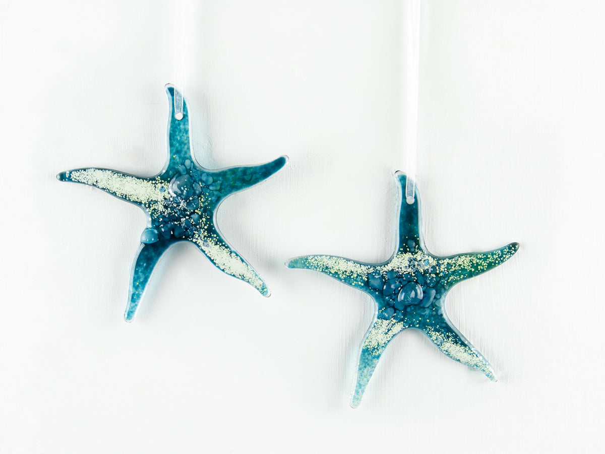 Starfish Hanging - Bossiney