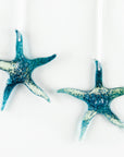 Starfish Hanging - Bossiney