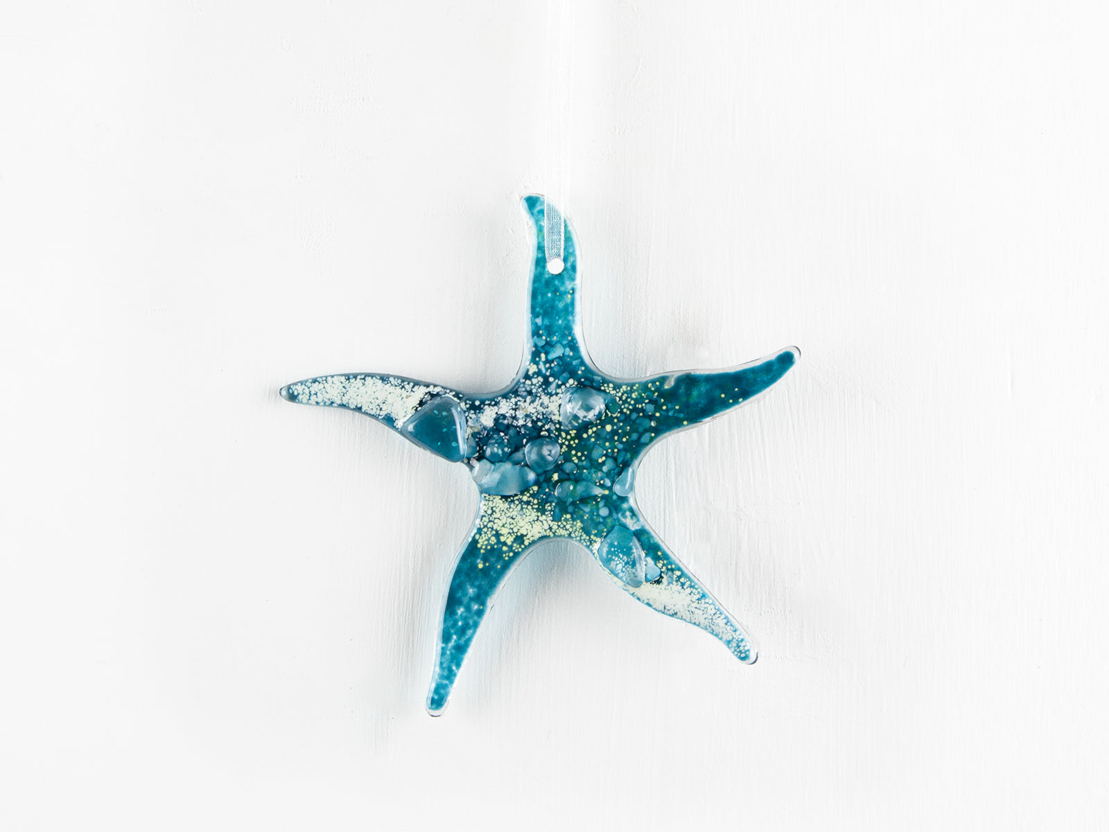 Starfish Hanging - Bossiney