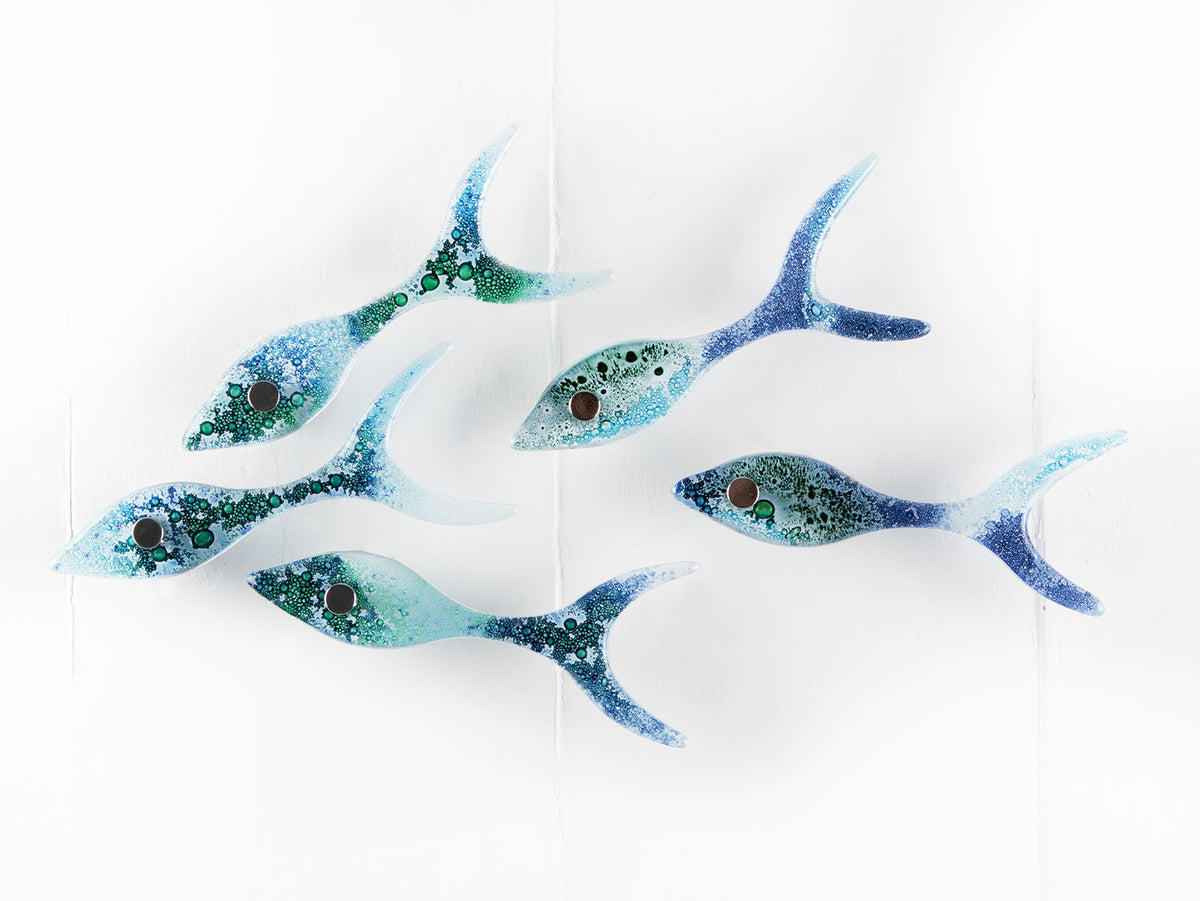 Five fused glass fish, handmade in coastal colours, creating an ocean inspired wall art display.