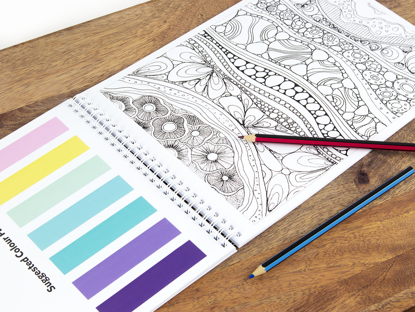 Drawn From The Coast - Sketches to Colour