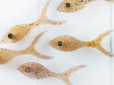 ARTISAN MINNOW SHOAL - Corals