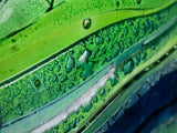 Artisan Emerald Ocean Wall Panel