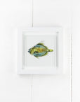 Artisan John Dory Fish Medium Art Frame