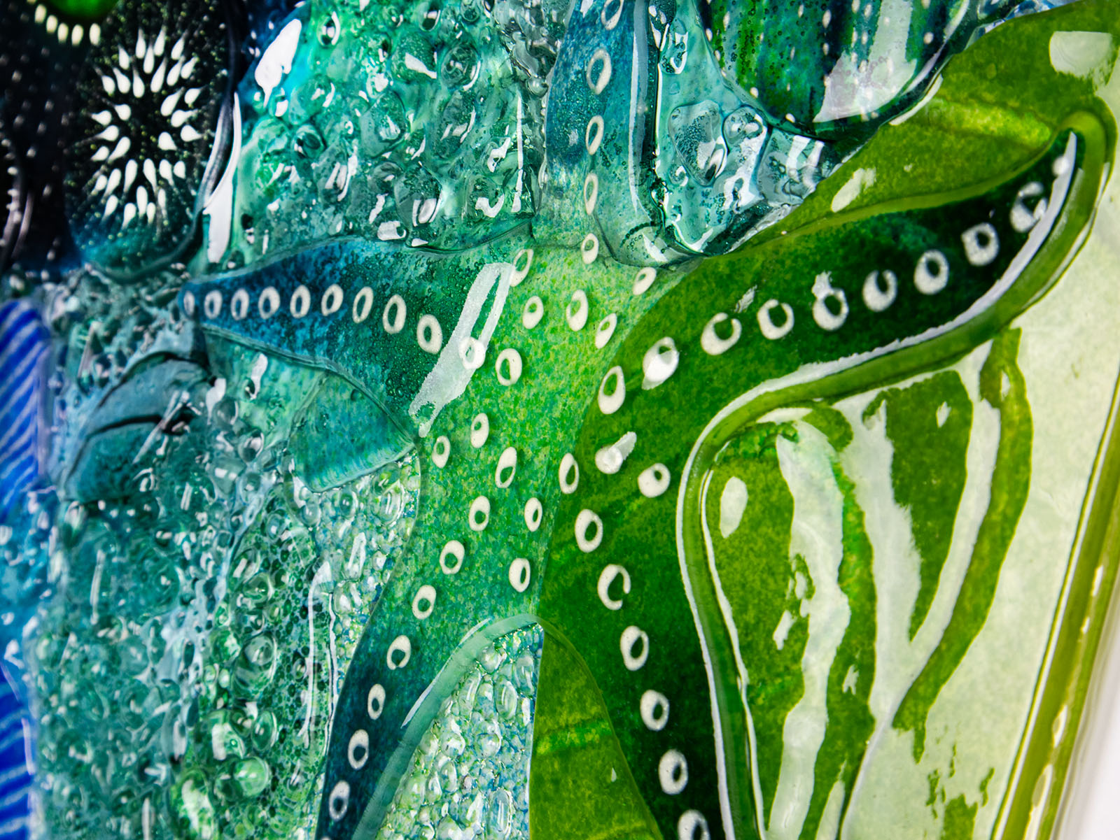 Starfish close up on a fused glass art frame, in vibrant coastal colours, inspired by the ocean reefs with organic detailing. 