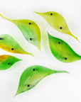 Fused glass wall art display featuring individual spring leaves in vibrant colours. 