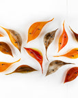 Fused glass autumn leaf wall art display, in  vibrant orange and natural browns. 