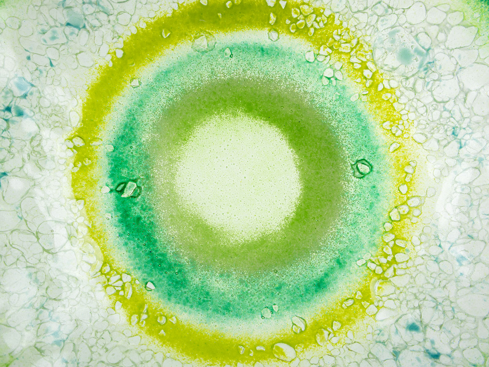 Close up of fused glass round dish featuring a soft sea green colour-way with organic detailing.