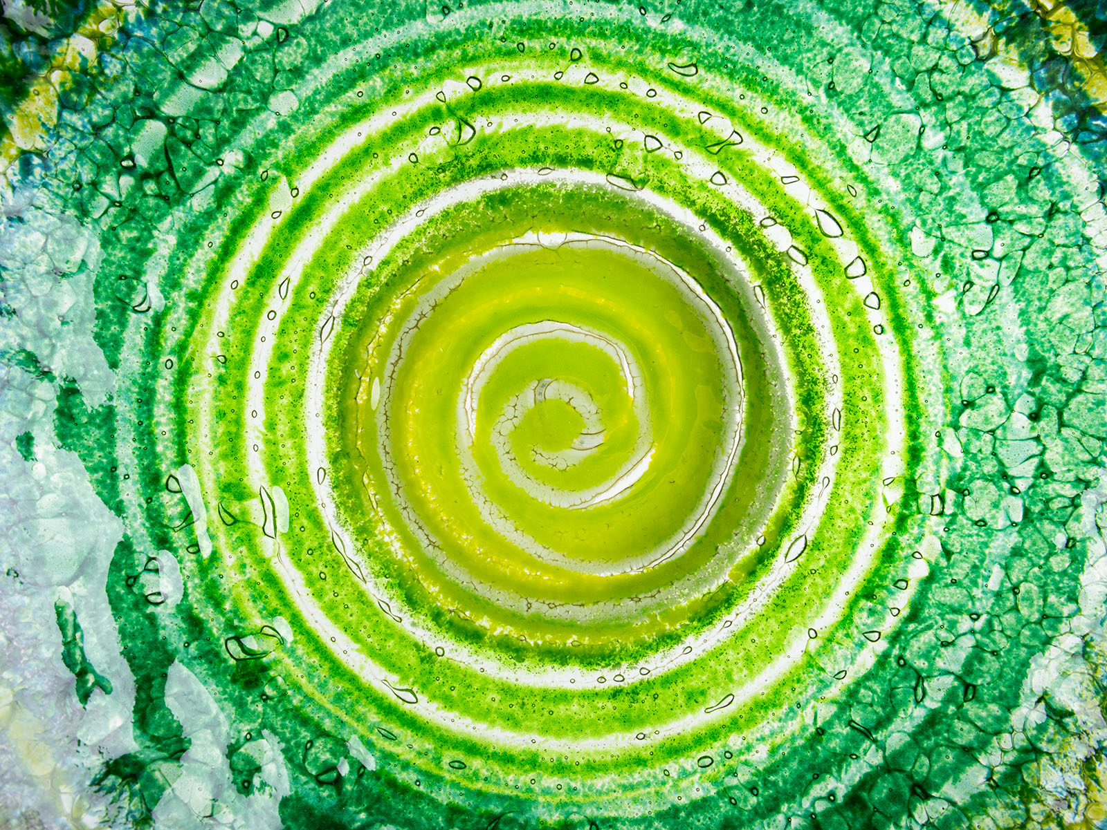 Close up of fused glass round dish, featuring an emerald green colour-way and swirling design. 