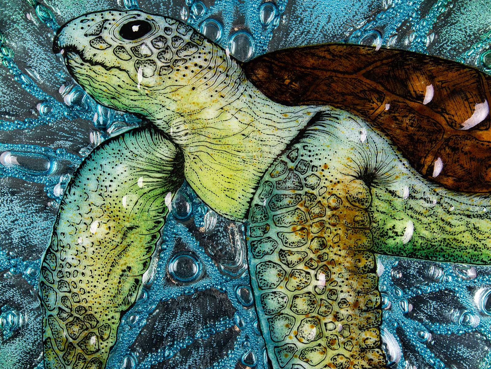 Details of a turtle design on a fused glass round panel with aqua bubbled background. An ocean inspired piece of wall art. 