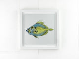 Artisan John Dory Large Art Frame