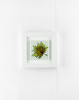 Artisan Cornish Gardens Small Art Frame - Maple Leaf