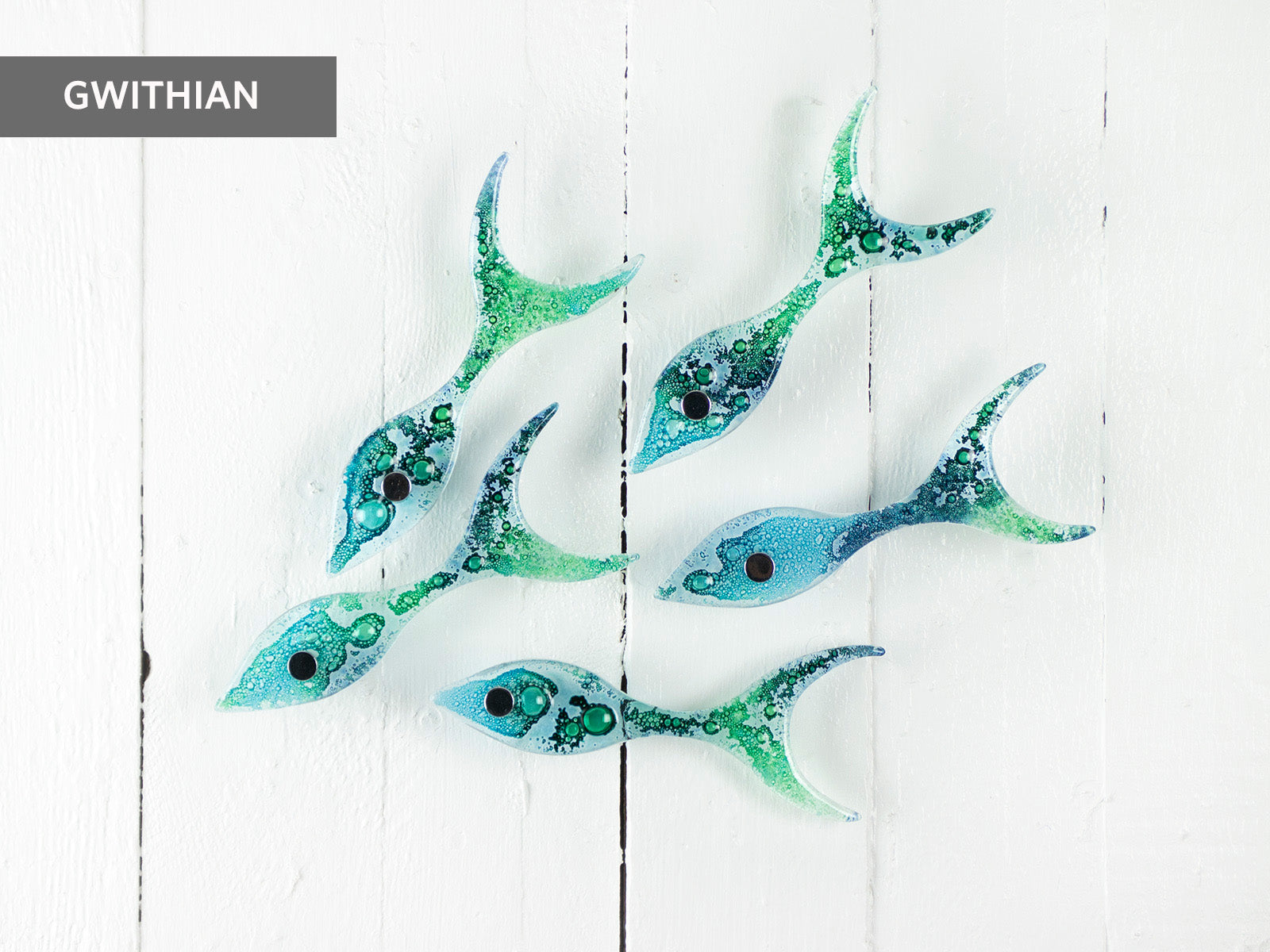 fused glass fish in gwithian colourway with wall fittings, 5 individual fish create unique wall art