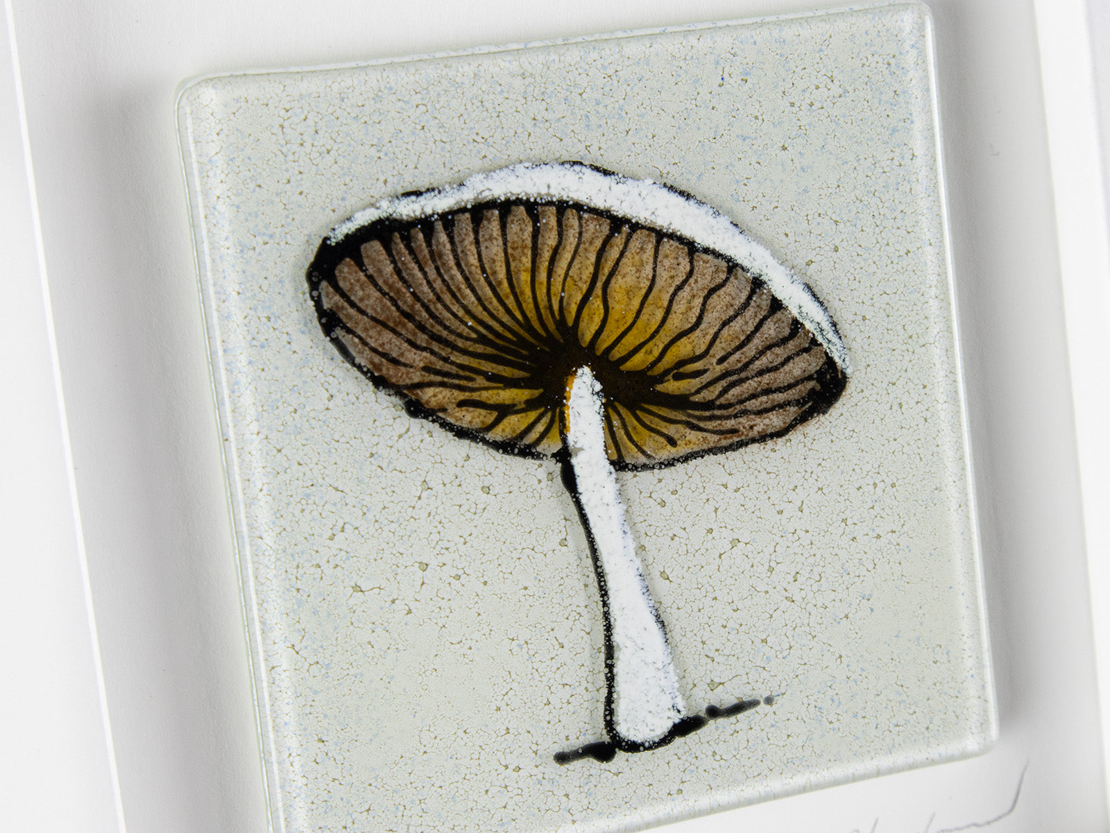 Artisan Cornish Gardens Small Art Frame - Mushroom