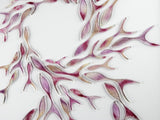 Shoaling Fish Blush Large Oblong Art Frame