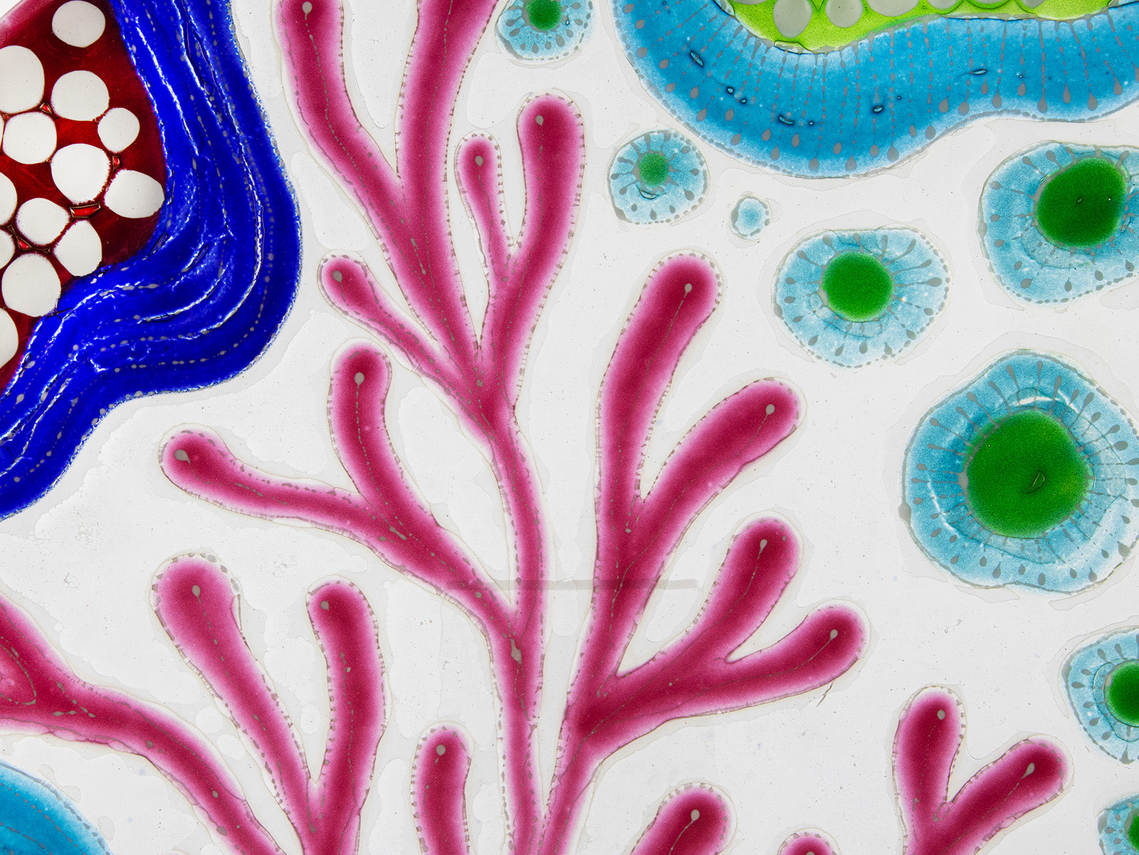 Close up of fused glass round dish, with hand painted design inspired by the ocean reefs in bright colours. 