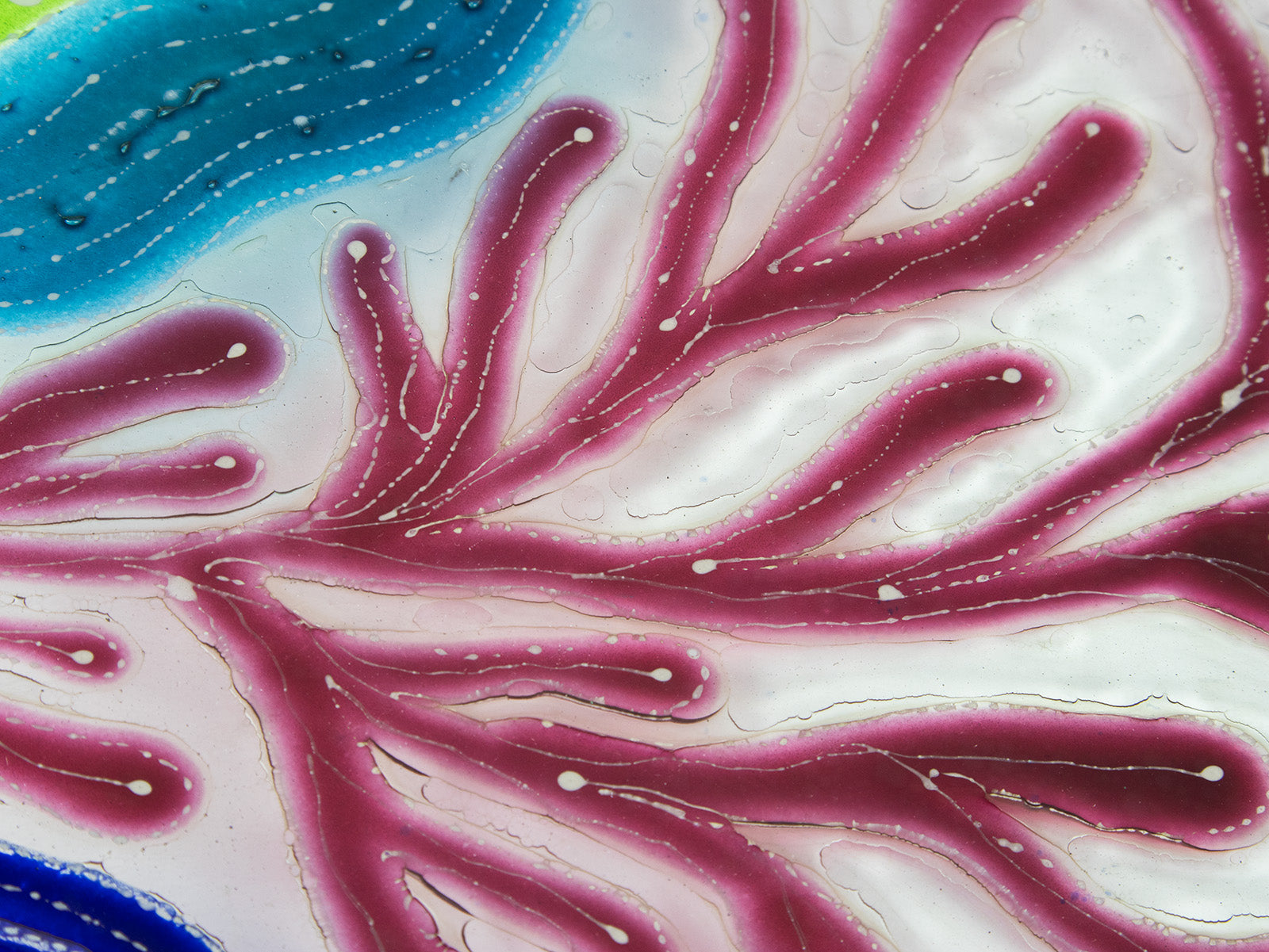 Details of fused glass round dish, with hand painted design inspired by the ocean reefs in bright colours. 