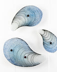 Trio of Mussel Shells