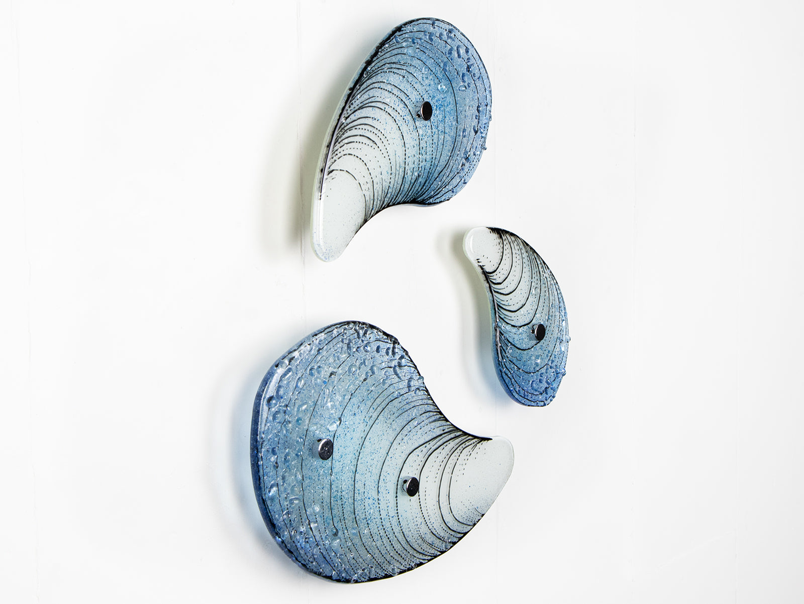 Shopies Shell Jo Rooks Trio of Mussel Shells – Jo Downs Handmade Glass