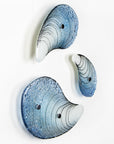 Trio of Mussel Shells
