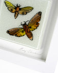 Artisan Moths Art Frame