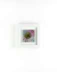 Artisan Cornish Gardens Small Art Frame - Seed Burst