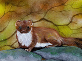 Artisan Countryside Stoat Large Oblong Art Frame